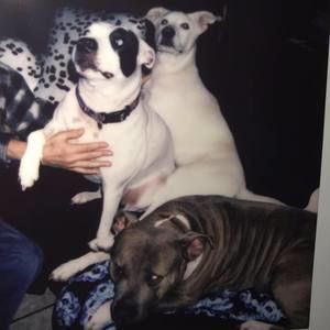 Meet your Posher, Jackie